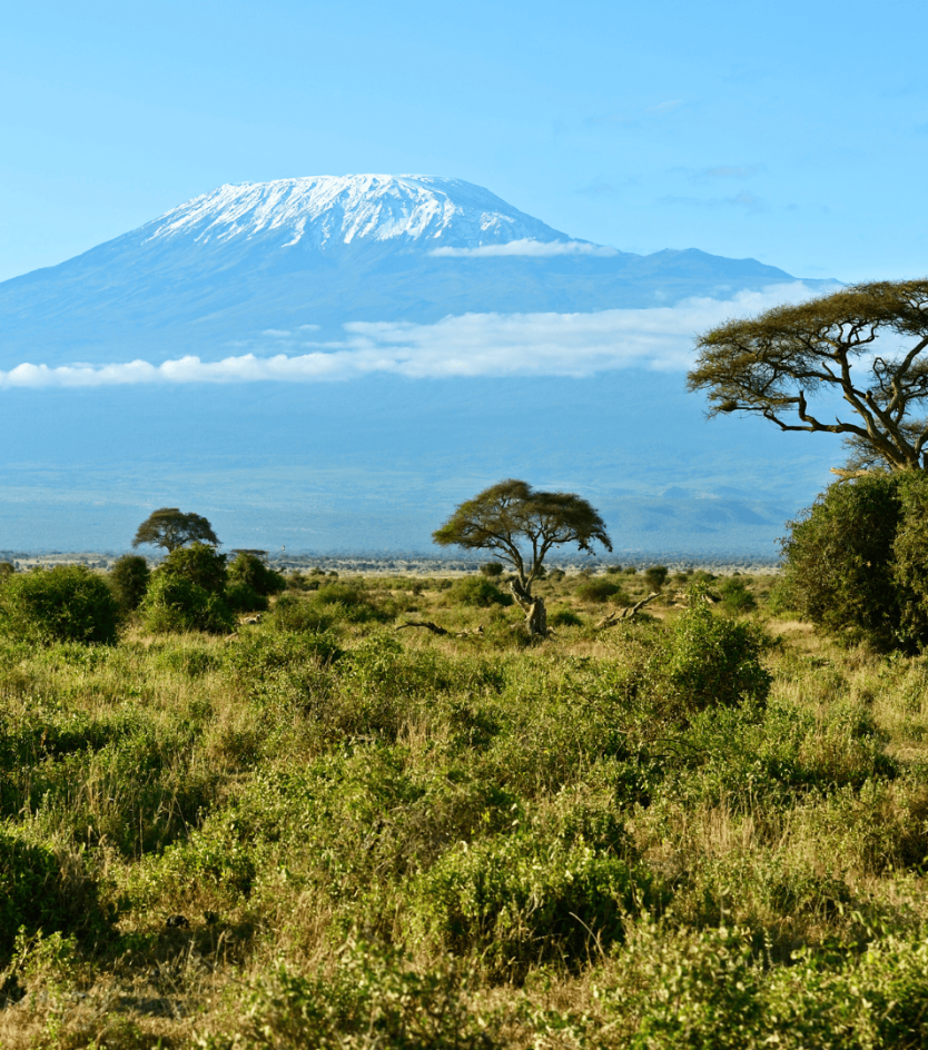 Top 5 Unique National Parks and Game Reserves in Africa